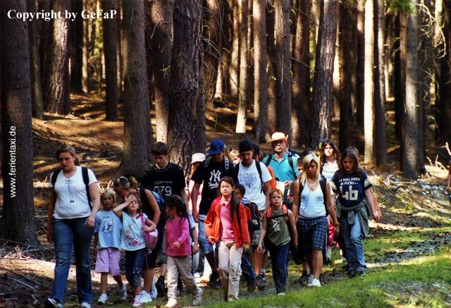 TW 59 mammutbaumpark