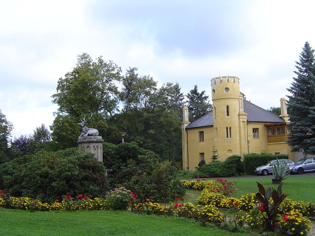 O08DSC03811