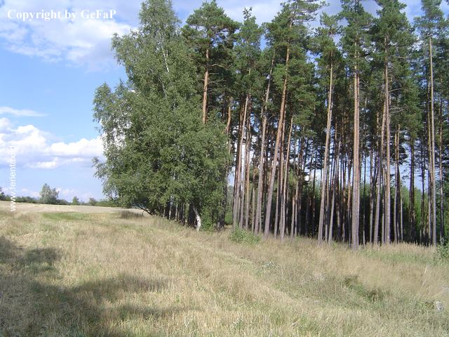 TW01DSC03325