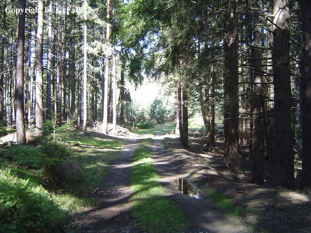 TW06DSC03315