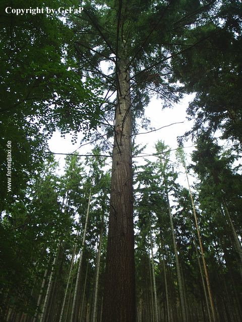 TW14PIC_0116