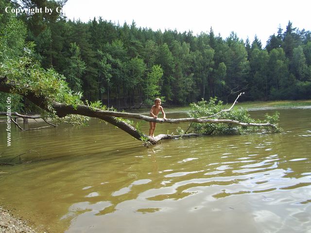 TW15PIC_062